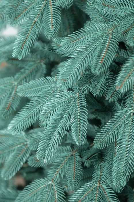 Лапландська штучна лита ялинка преміум якості Сіга Груп Ёлка литая