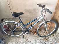 Rower firmy ENIK