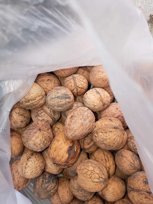 Orzechy.      i miody