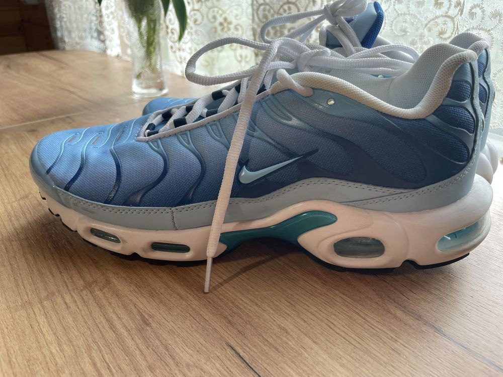Кросівки Nike Air Max Plus (FJ4736-400) 46 розмір