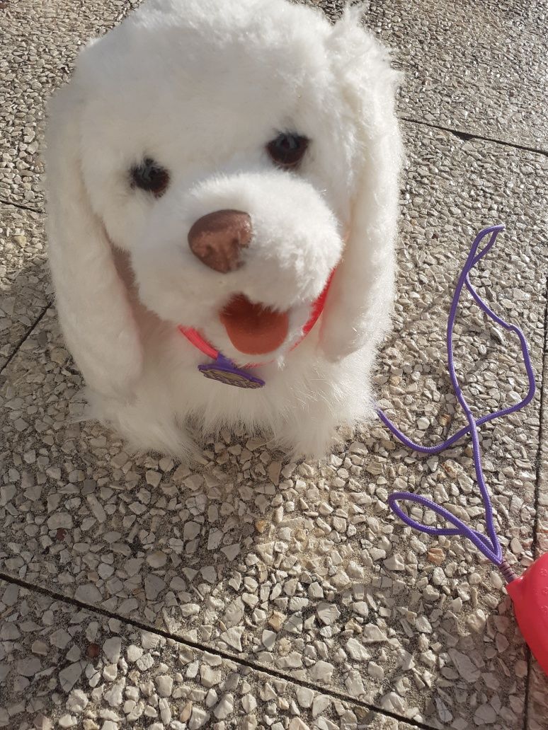 Cão peluche e troley