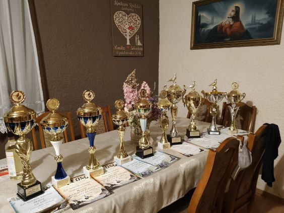 Sprzedam gołębie pocztowe