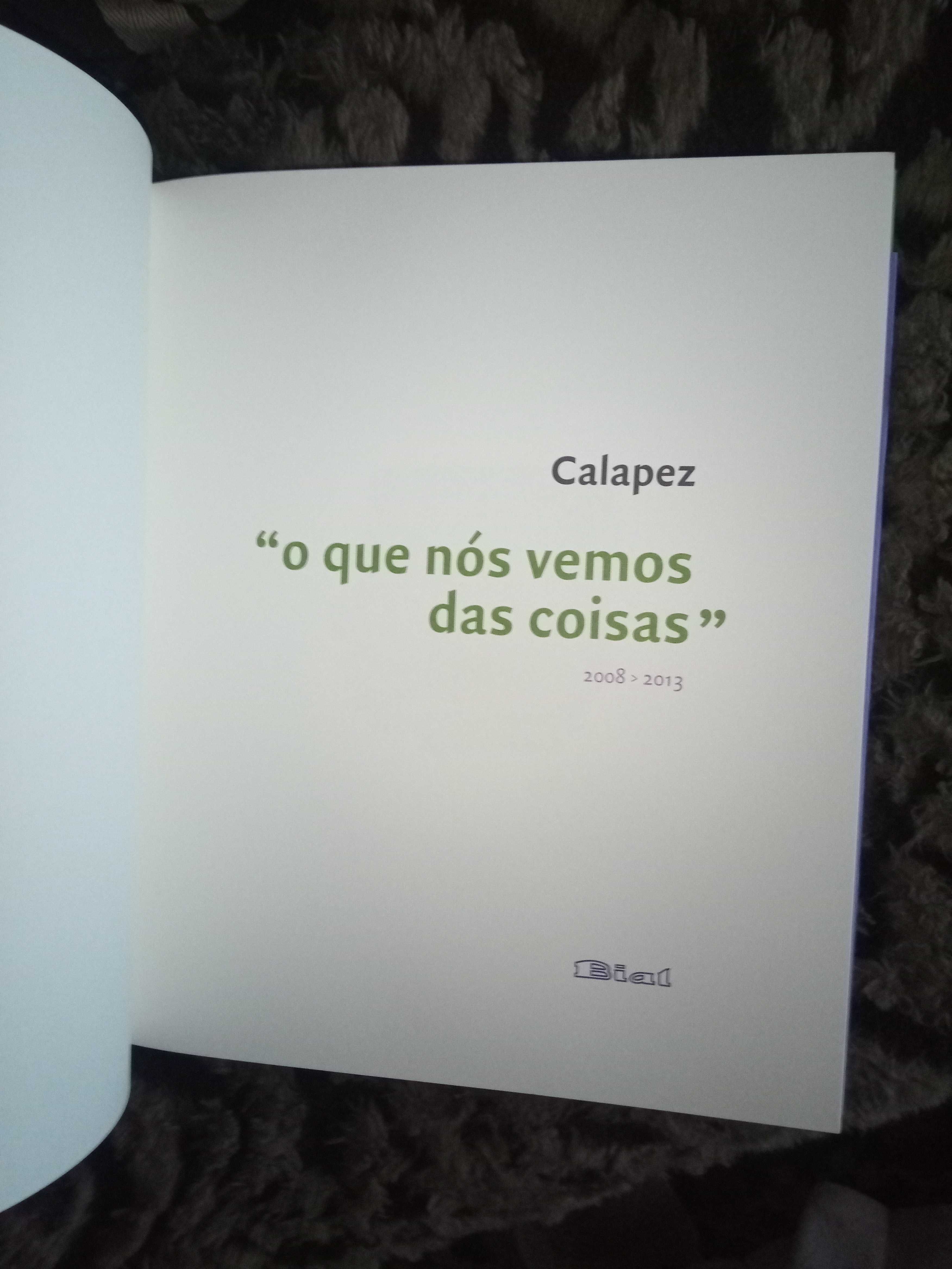 Calapez - O que nós vemos das coisas