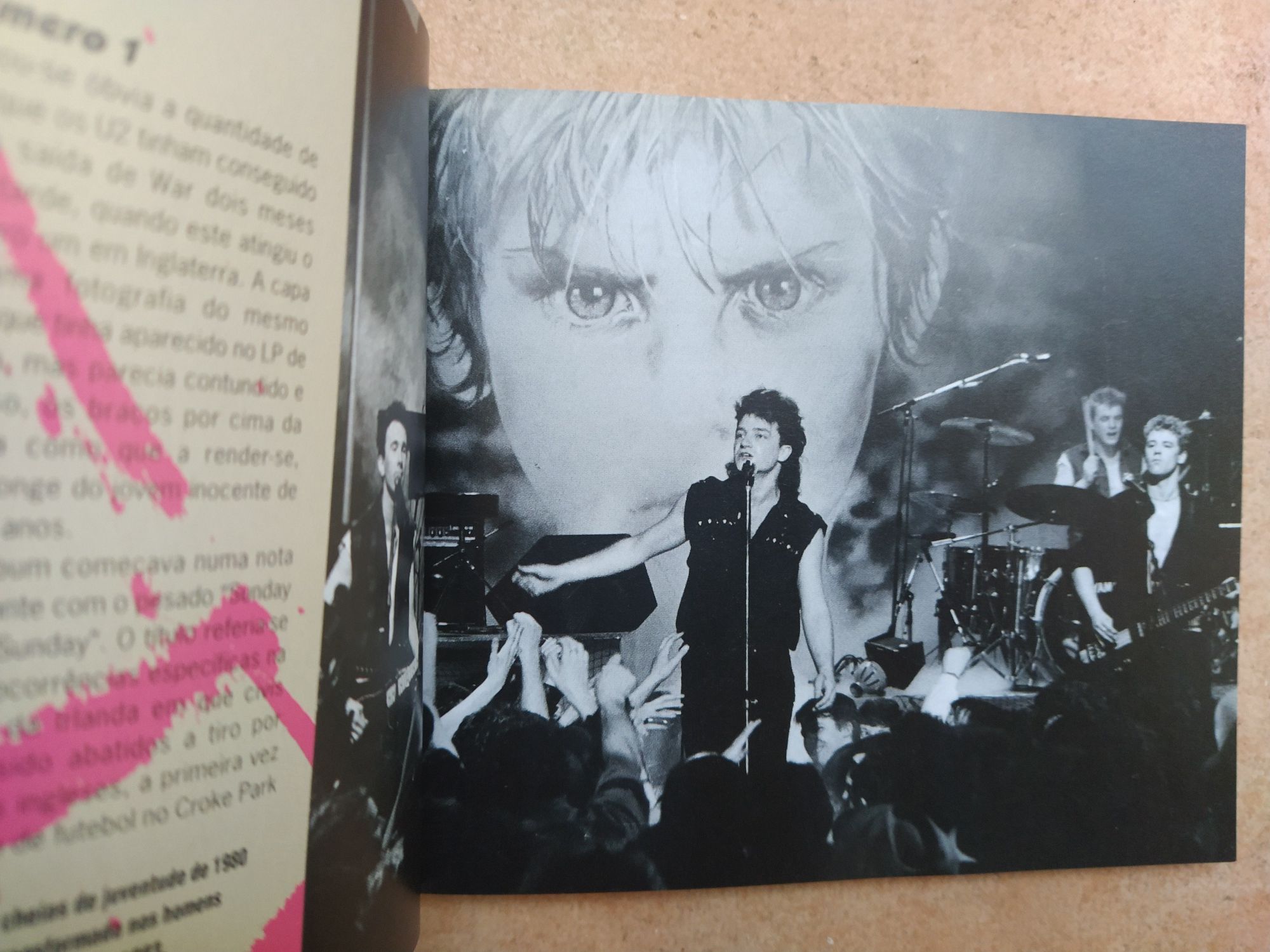 Livro da banda U2 de Mark Taylor