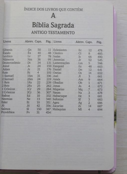 Bíblia Sagrada Lírios | NVI | Nova | Capa Dura Rosa