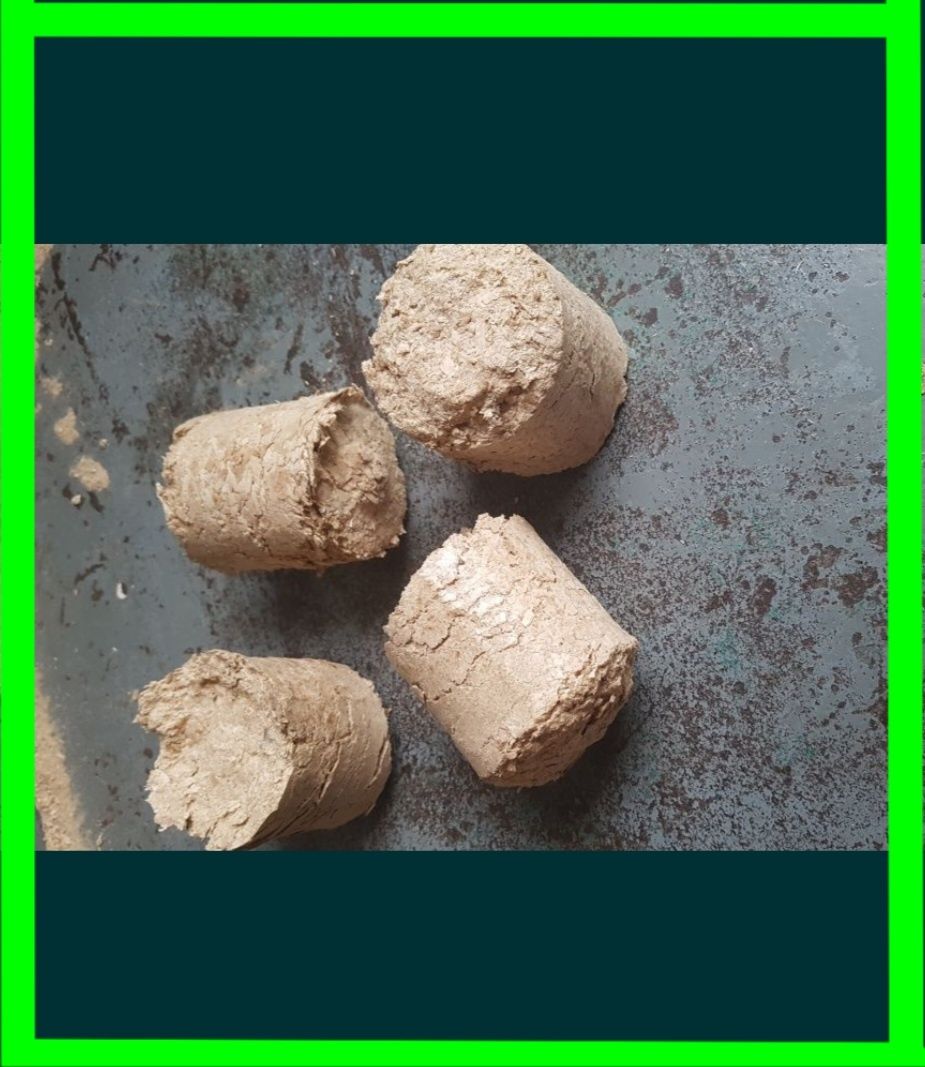 Brykiet drzewny Bukowy brykiety biomasa pellet