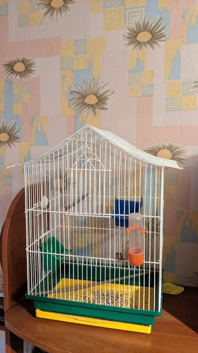 Клітка для папуг, канарок і дрібних екзотичних птахів