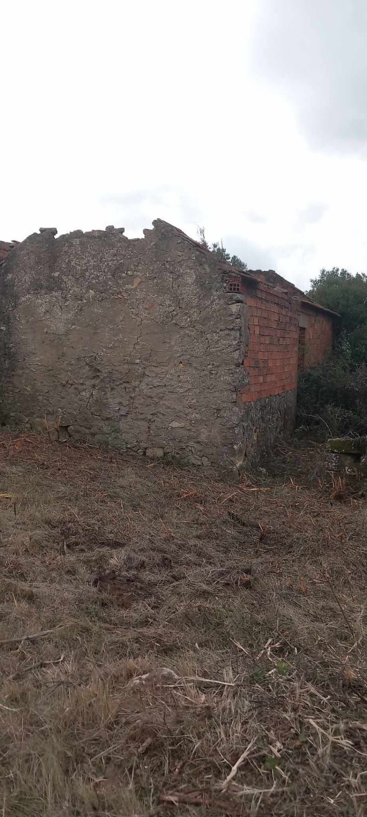 Quinta em alenquer cabecos