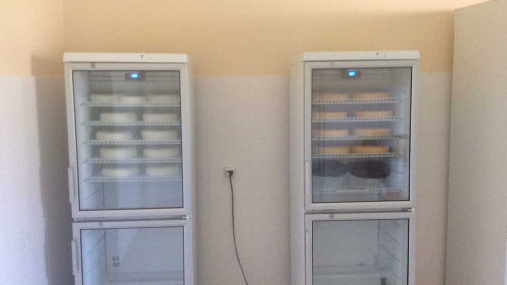 Камера для созревания сыра