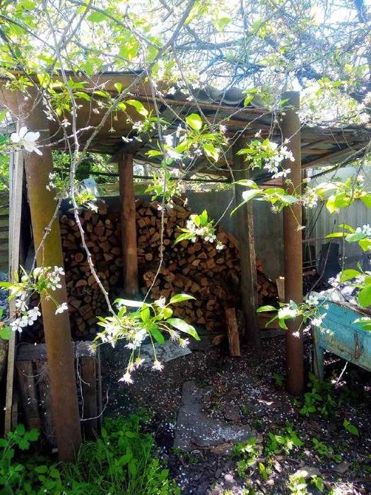 Гоголів, будинок та земельна ділянка 38 соток