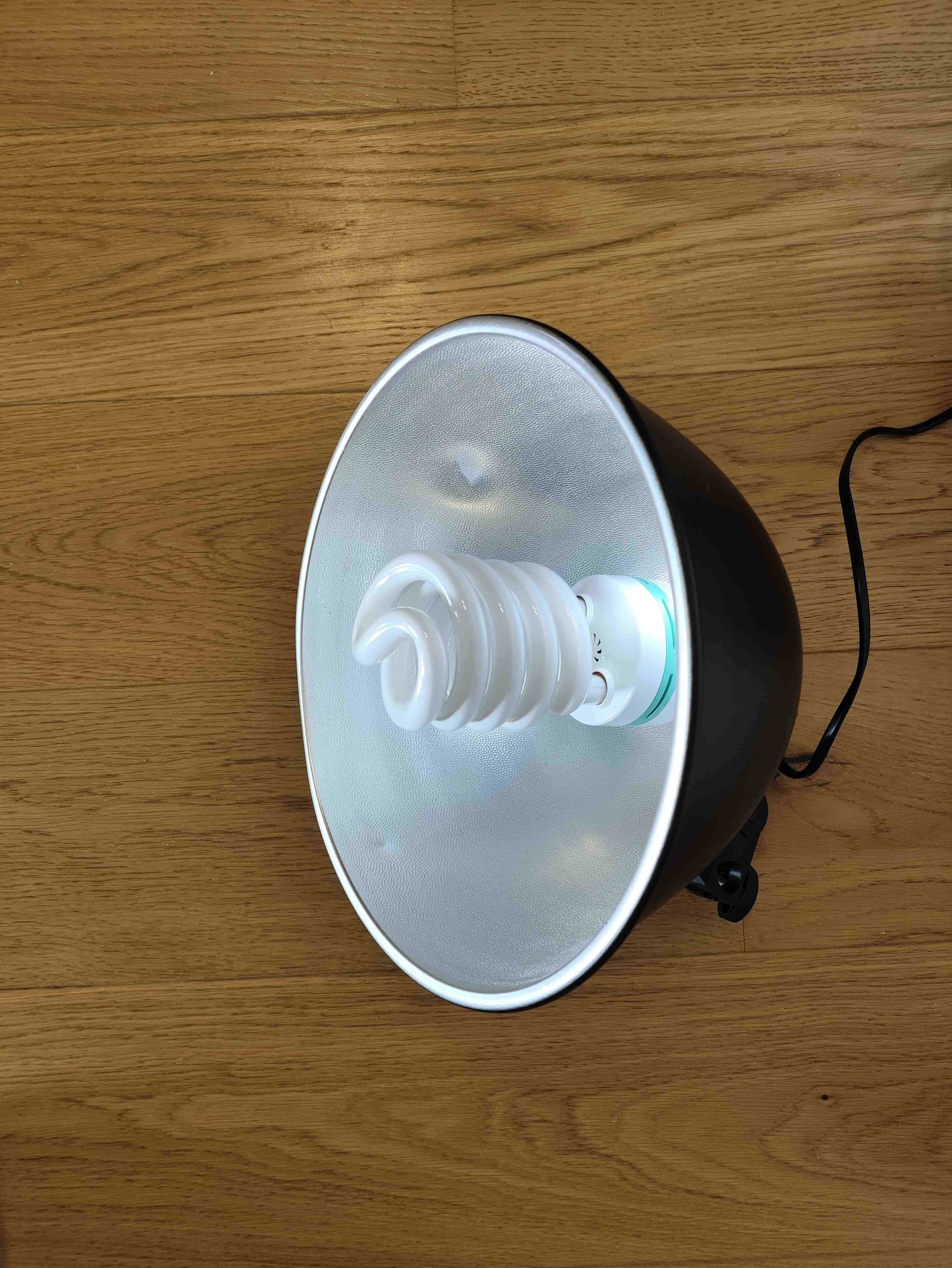 lampa fotograficzna na statyw