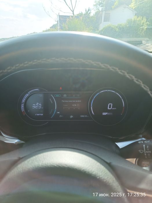 Kia Niro soh 100%
