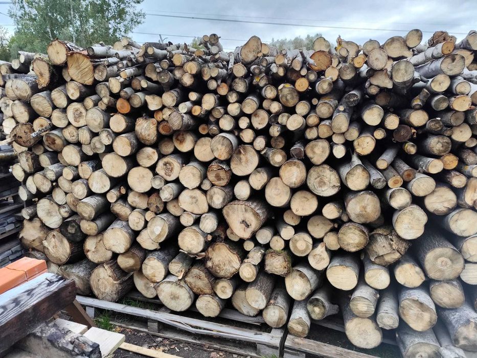 Drewno, Drzewo  Opał liściaste  Brzoza, Osika