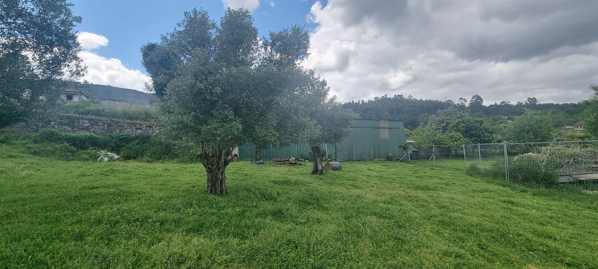 Quinta do Carvalhal