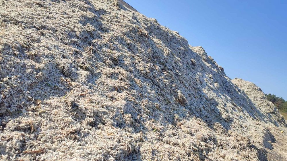 Жом з буряка свіжий доставка додому