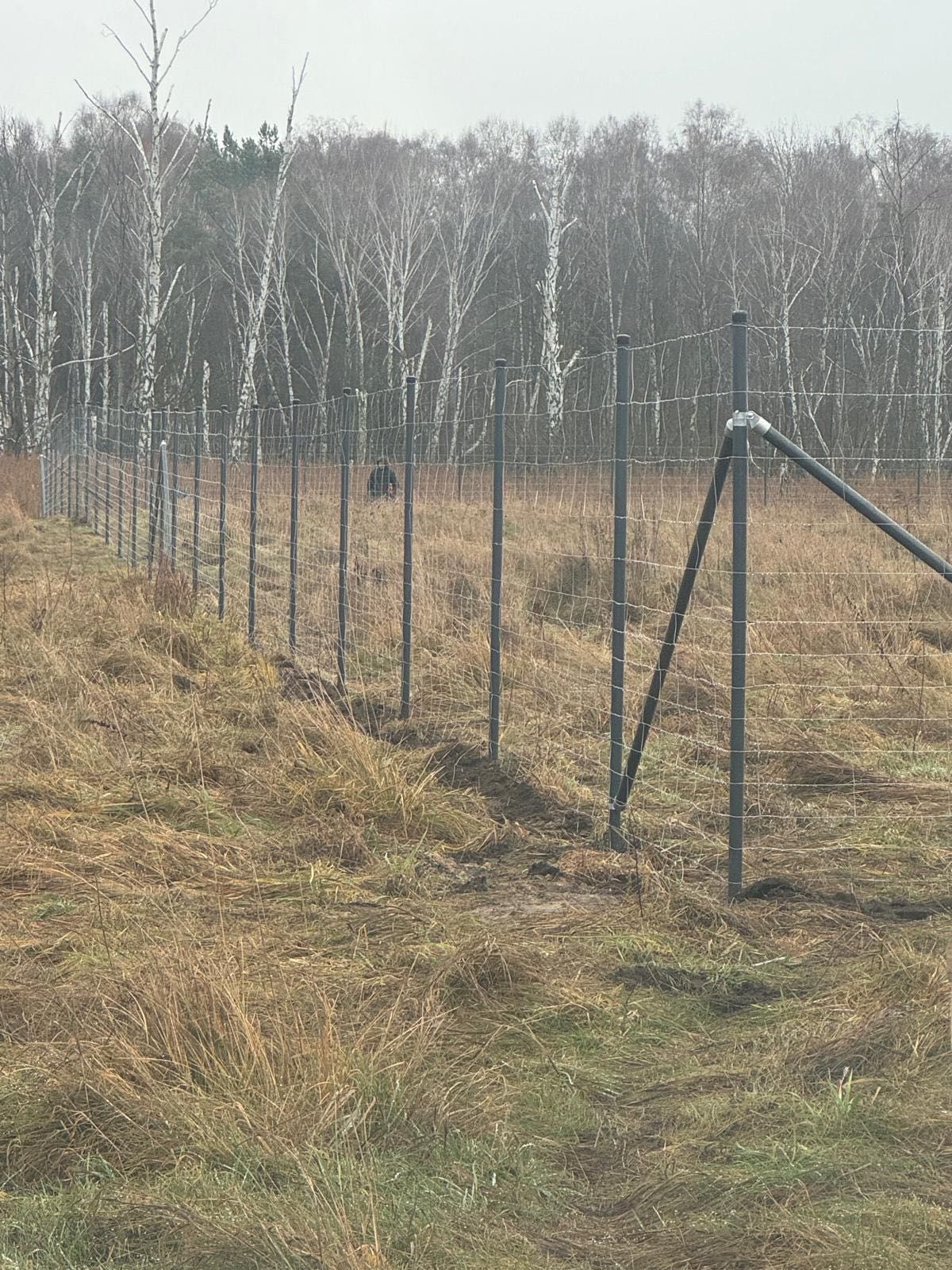 Ogrodzenie budowlane, leśne, tymczasowe