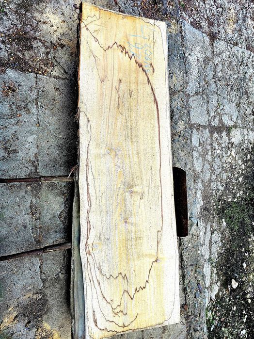 Topola blat lite drewno monolit Forszt. 200x90x10 Sezonowane