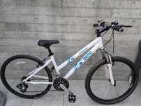 Bicicleta de senhora Berg