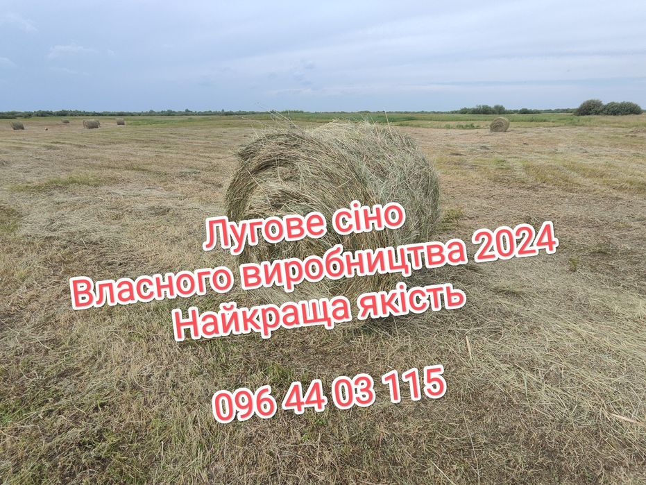 Сіно сено в тюках. Новий урожай 2025 р.. Доставим. На 10 тон знижки