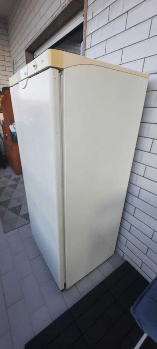 Congelador Vertical