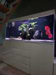 Akwarium 360L opti Glass 160x40x60