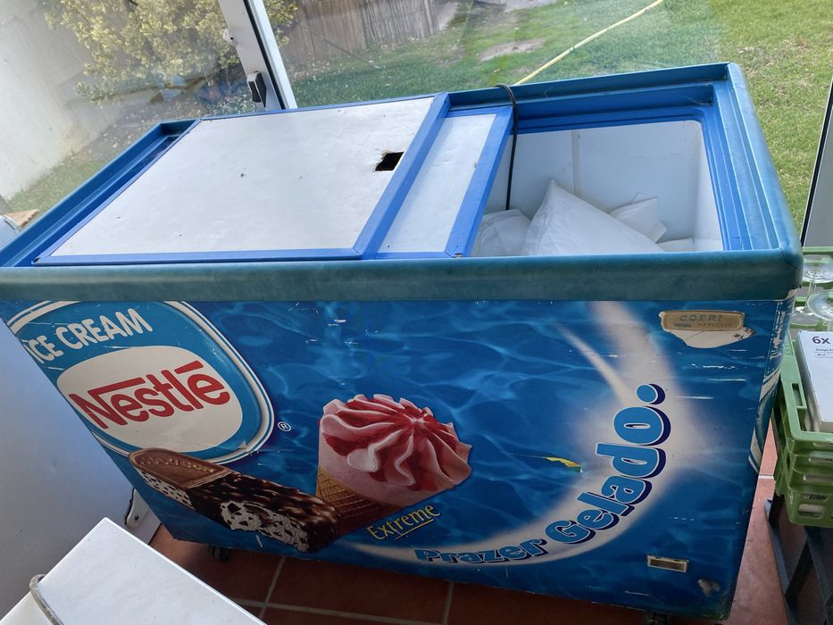 Arca congeladora nestle