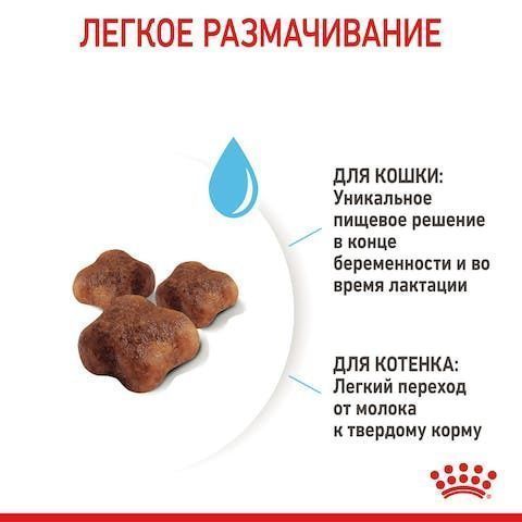 Royal Canin Mother&Babycat 10кг