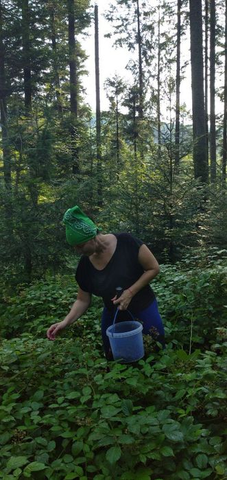 Суниця, брусниця, ожина, чорниця. У сиропі