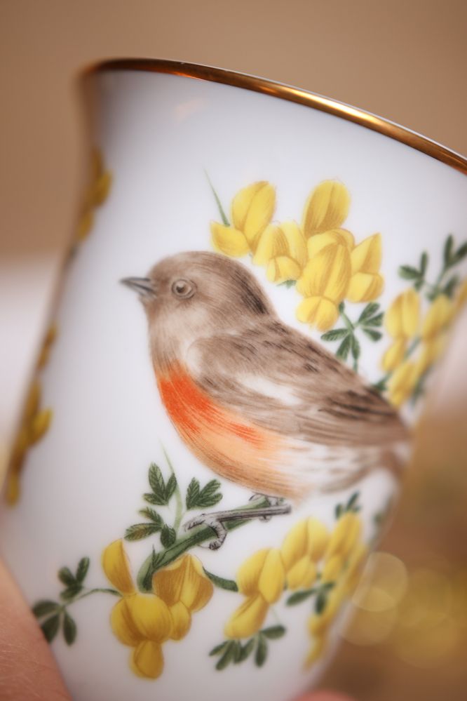Czarka szklanka filiżanka Franklin porcelana ptaki