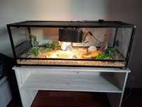 Terrarium jak nowe