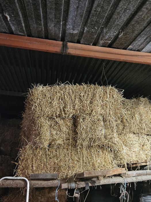 Vendo Fardos de Palha