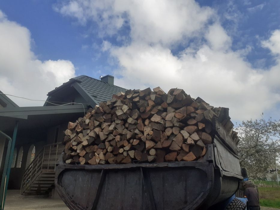 Дрова твердої породи бука та граба