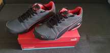 Buty - Puma Tazon Modern SL FM