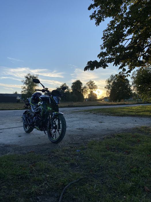 Мустанг ст 200.