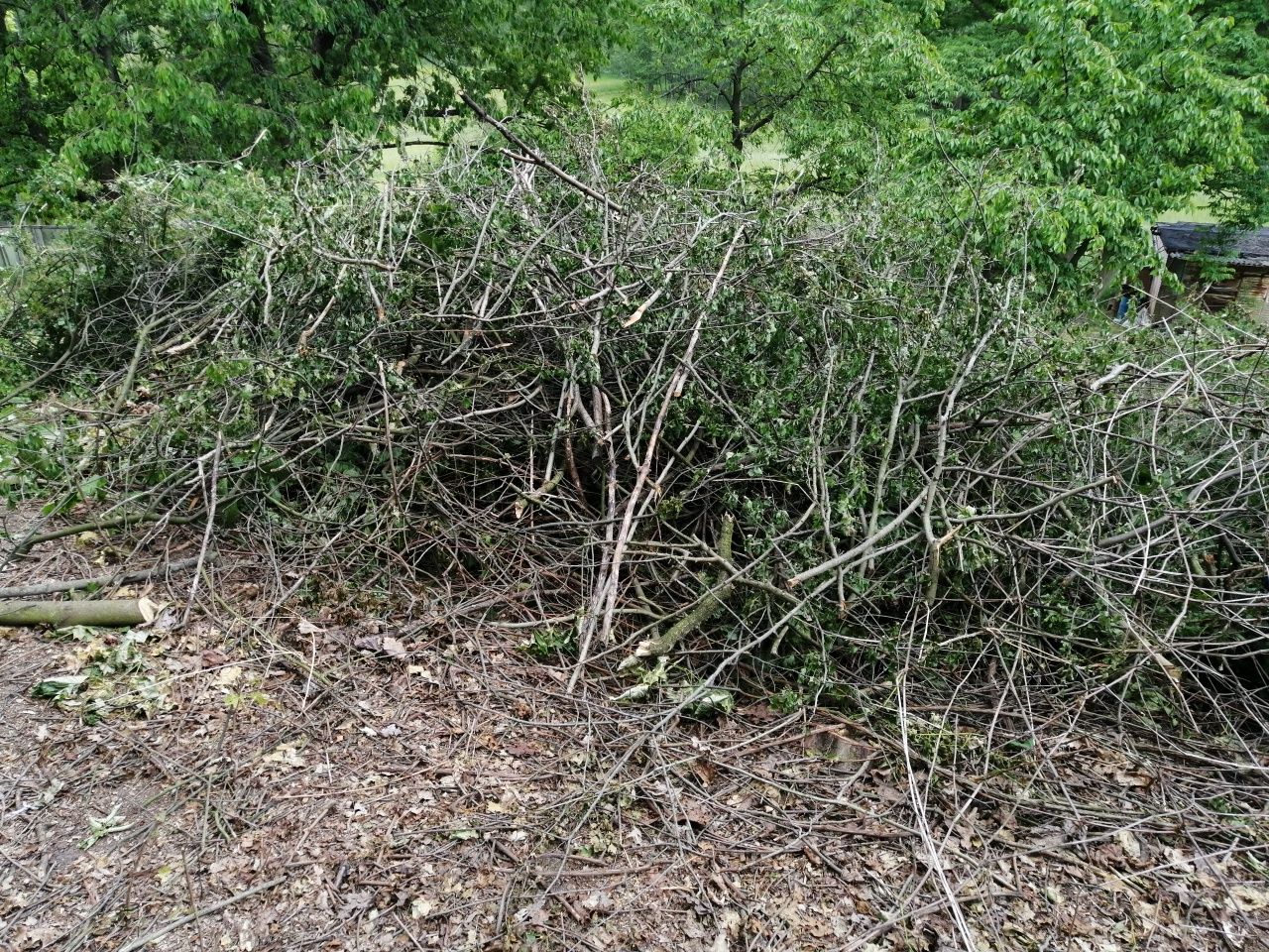 Wycinka drzew, koszenie traw, prace działkowe, rębak, rozbiórki