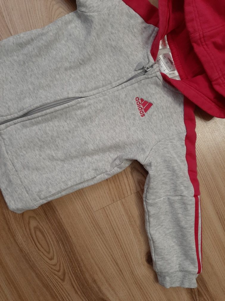 Bluza Adidas 9-12m 80cm bawełniana