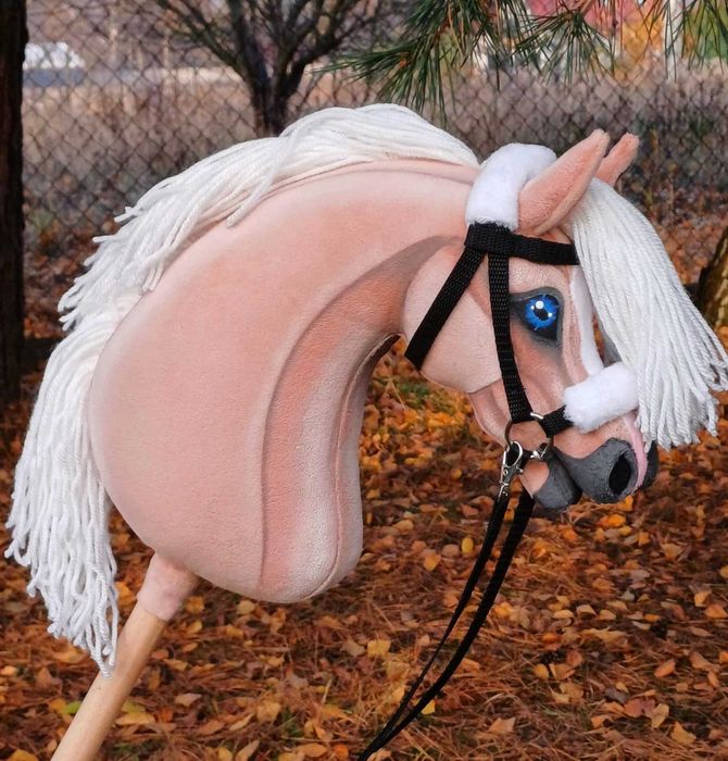 Izabelowaty konik Hobby Horse A4 + sprzęt