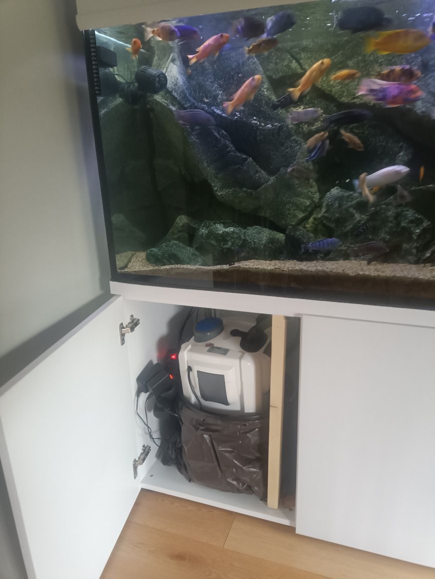 Akwarium Malawi 600l