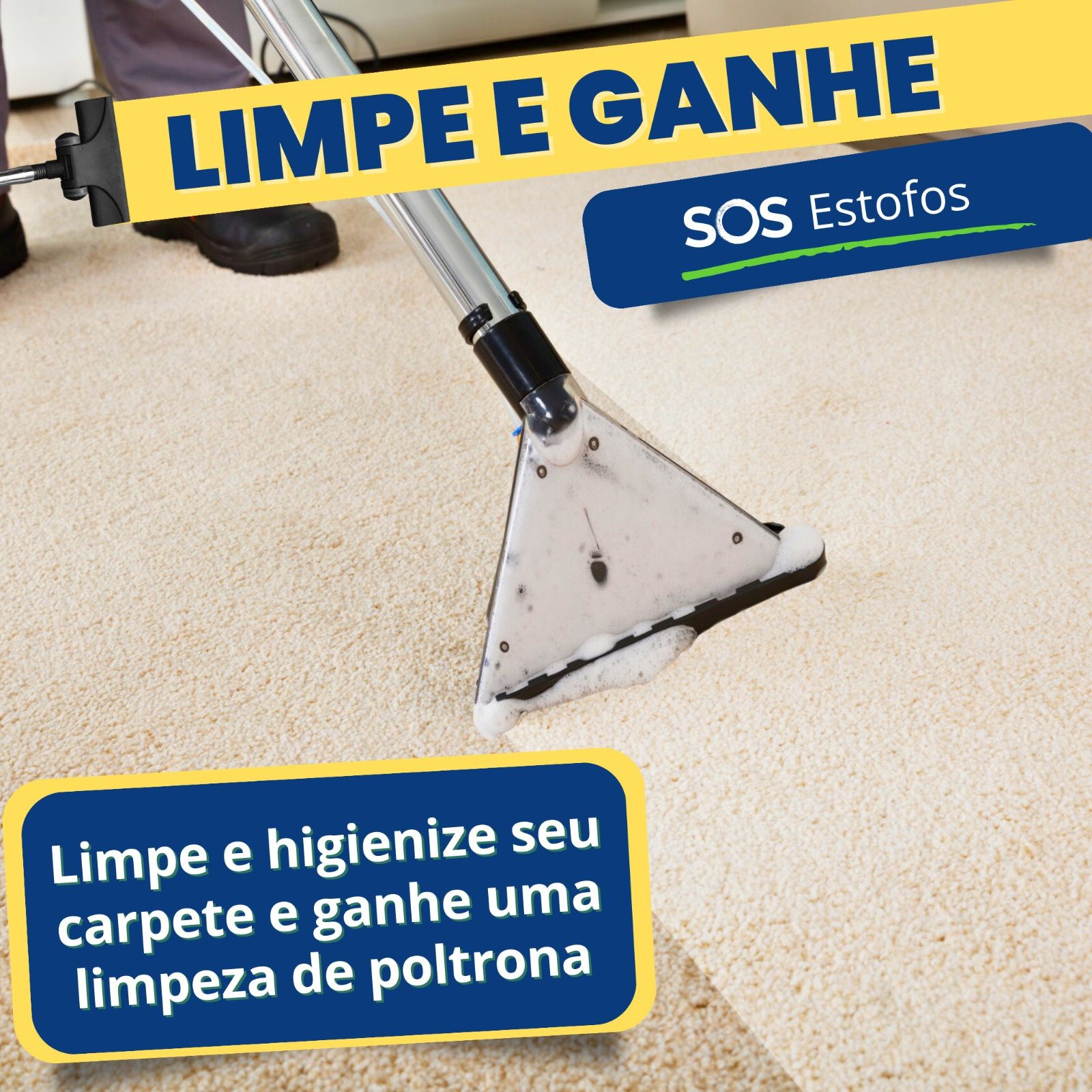 Limpeza e higienização higienização de sofás colchões carpetes tapetes
