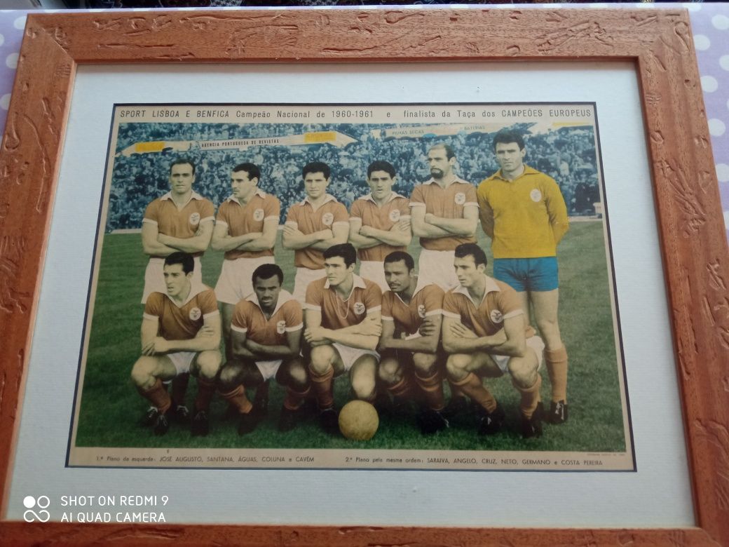 Quadro Benfica anos 60