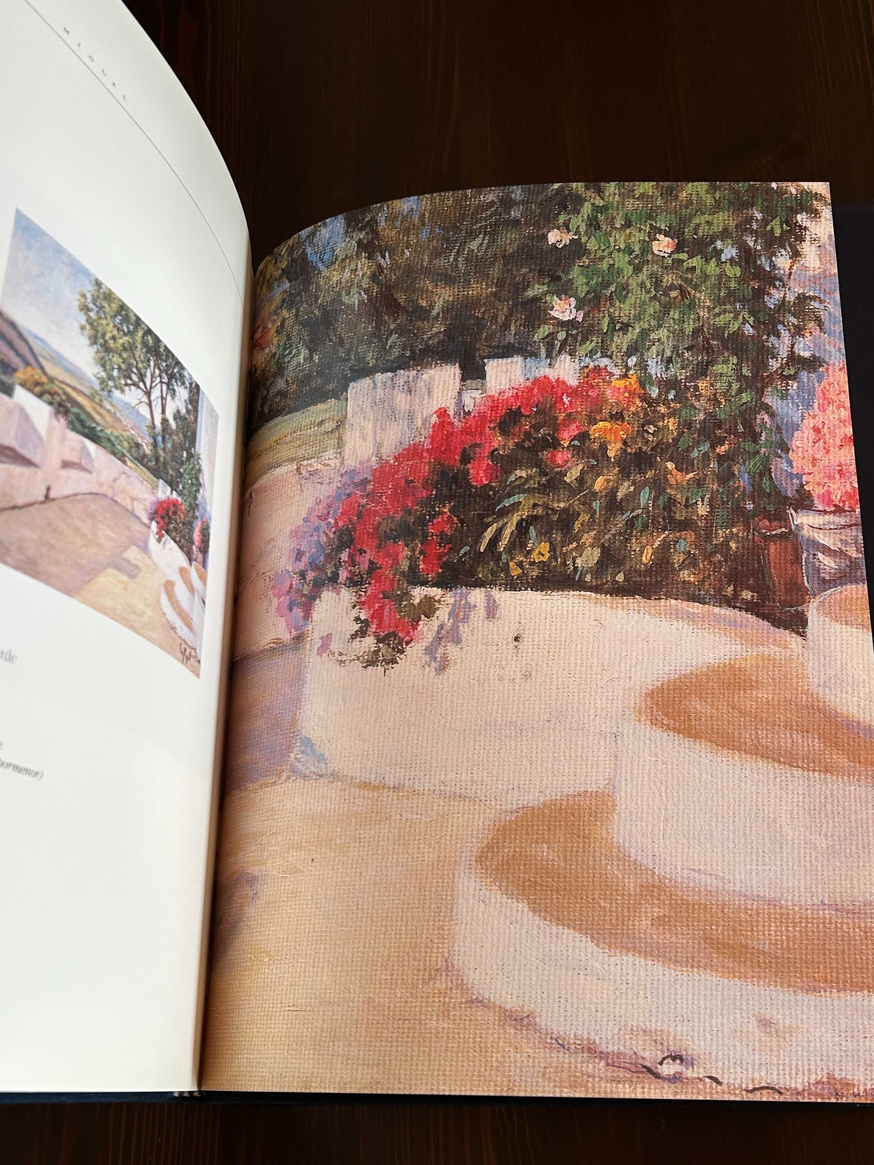 Livro a Arte de Ver