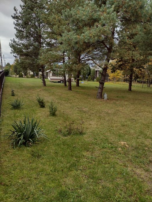 Sprzedam działkę - Rokitno Szlacheckie