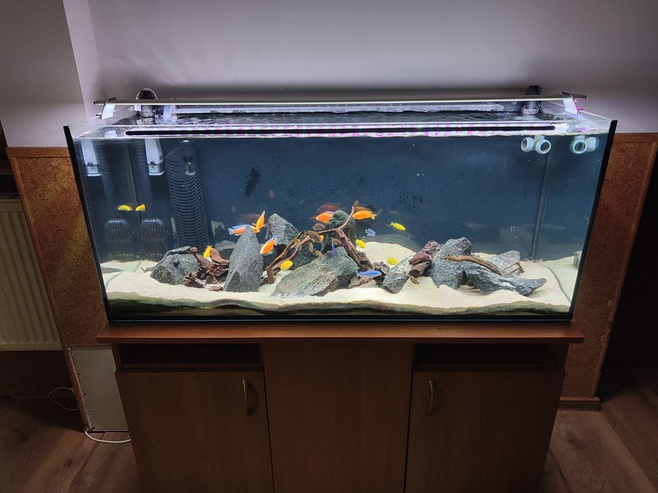 Akwarium 240l z szafką
