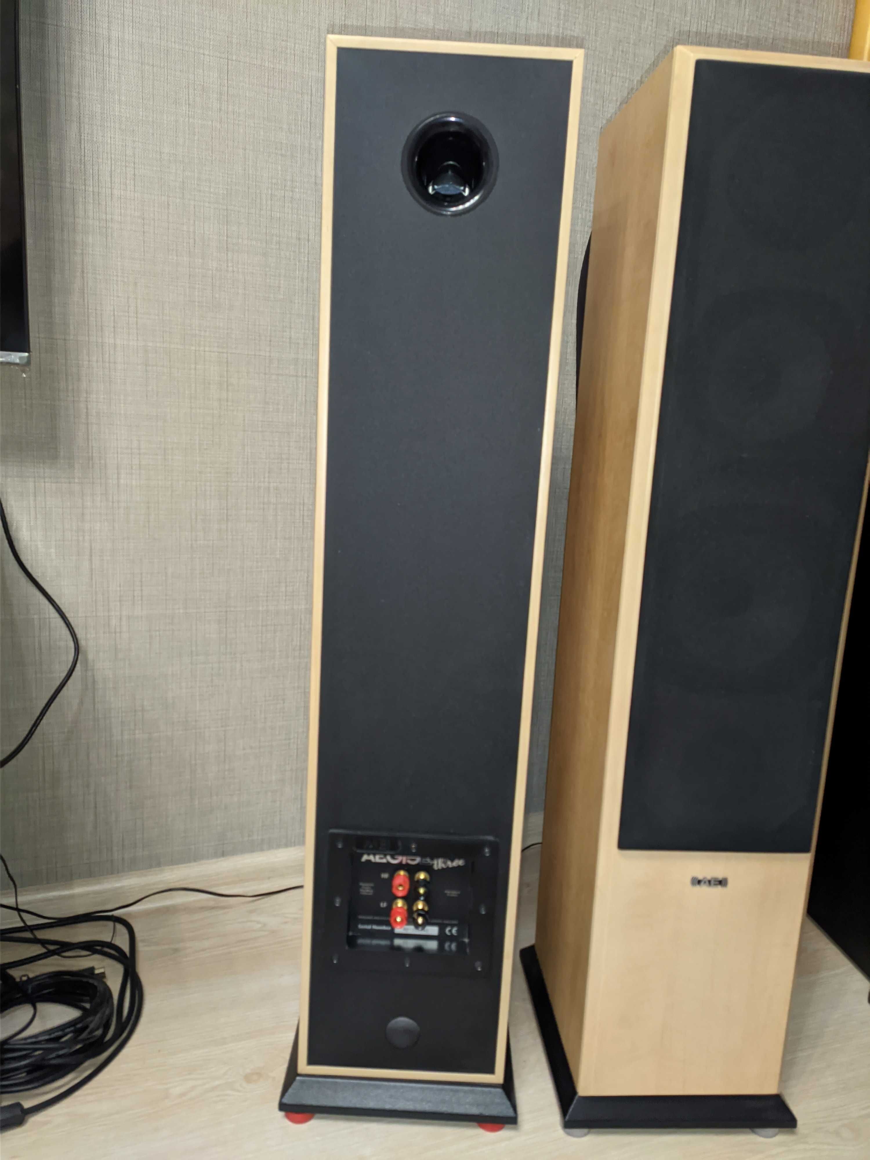 Acoustic Energy AEGIS EVO 3