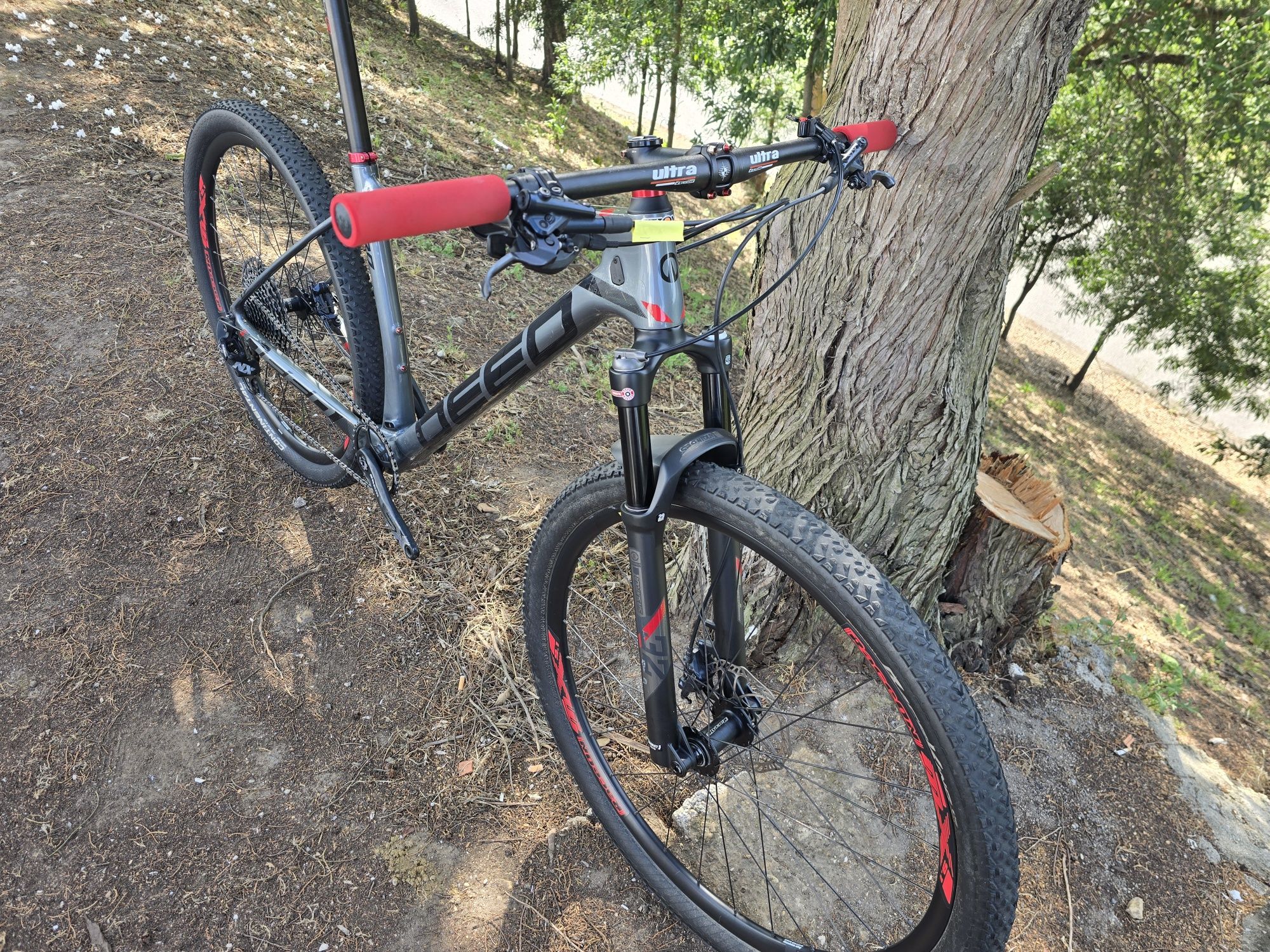 Btt carbono L 12x1v 29