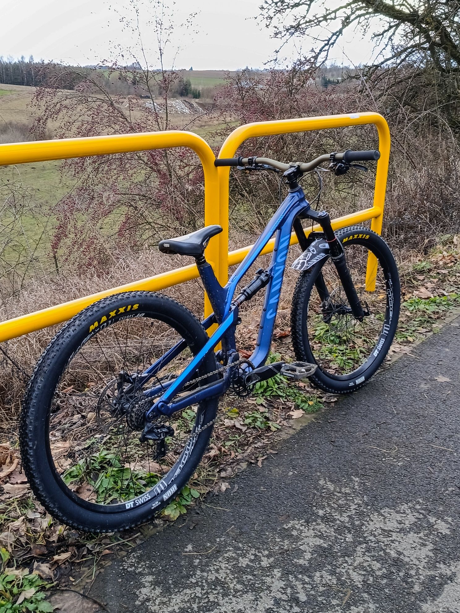 Canyon spectral al 6.0