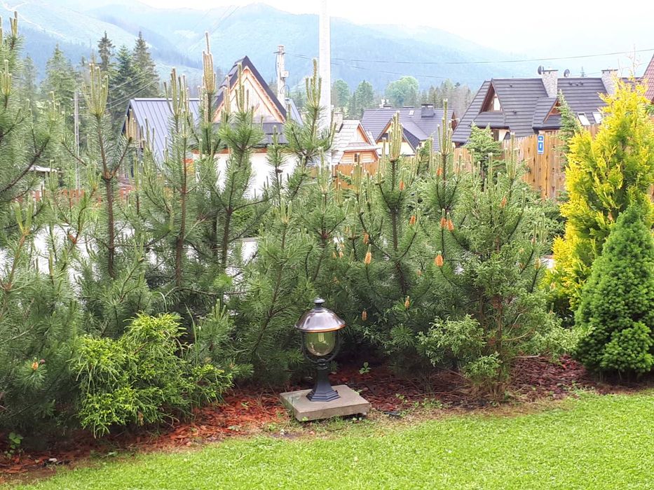 apartamenty z widokiem na panoramę Tatr w Kościelisku