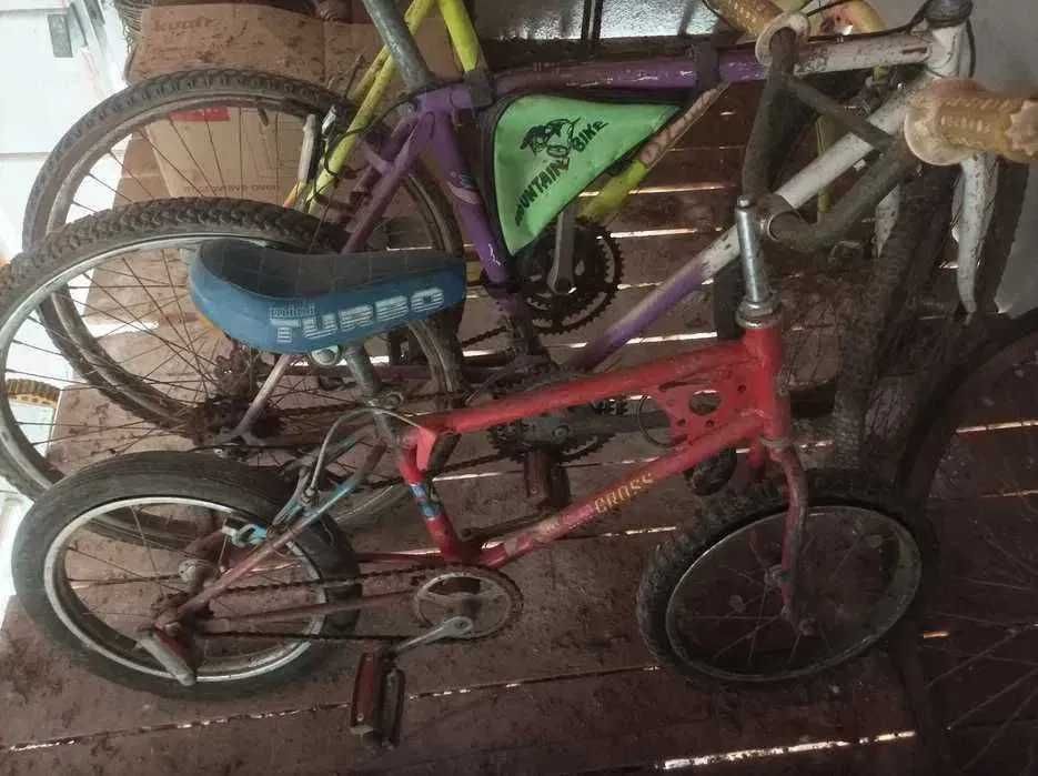 Conjunto de 4 Bicicletas