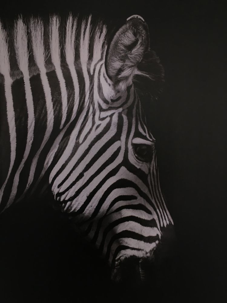 Aprt Miętowa Zebra Żołnierska-PRZY SZPITALU