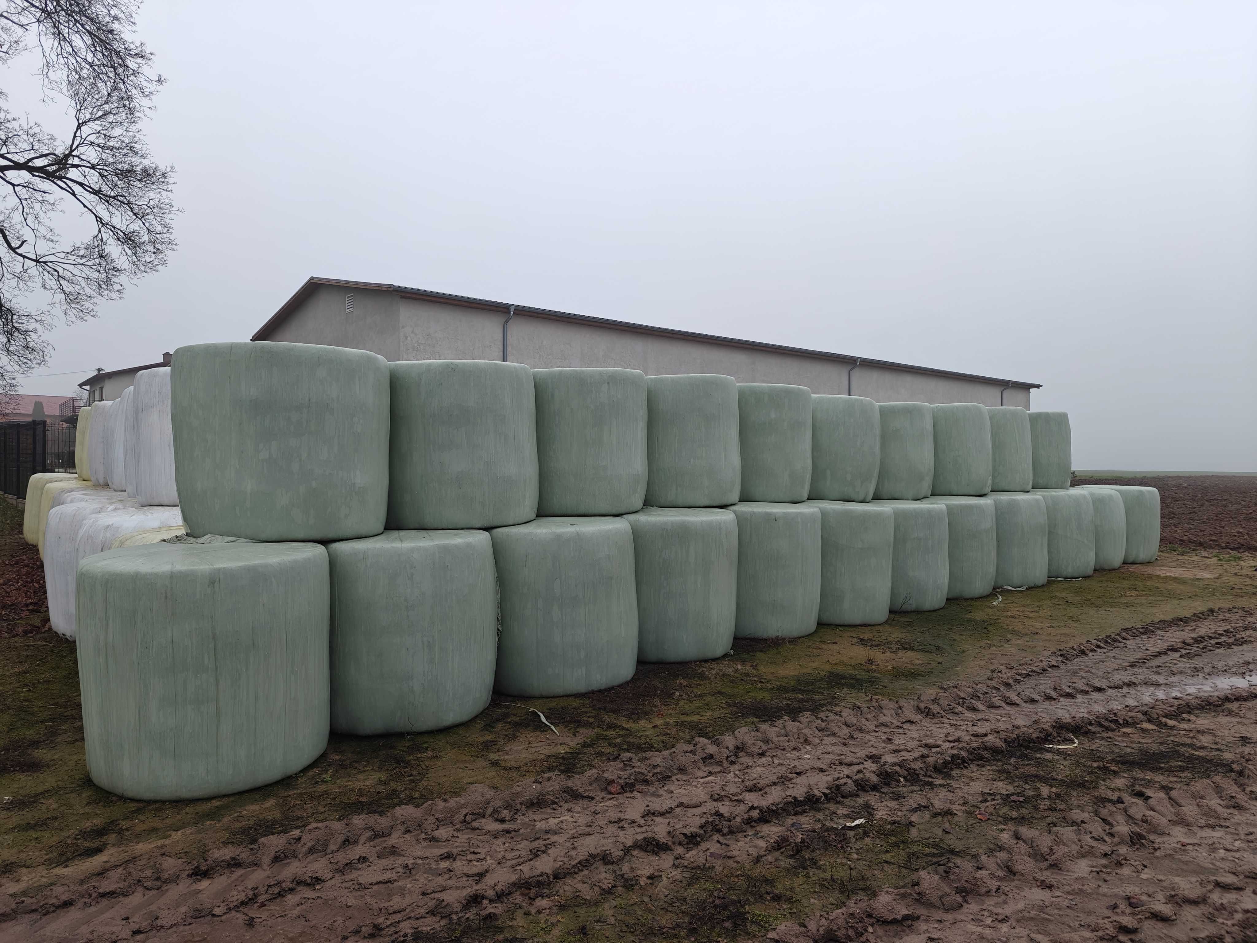 Sianokiszonka 2024 po Krone VariPack
